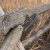 Weathered wooden fence post in dry grass